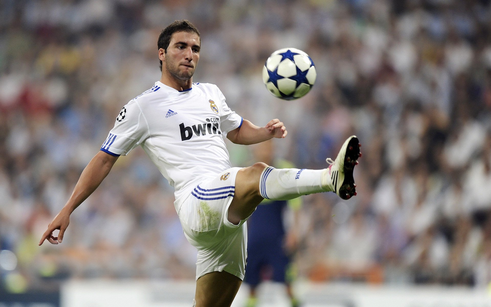 尼罗河奇迹，东决关键战焦点战，埃及击败美国的启示